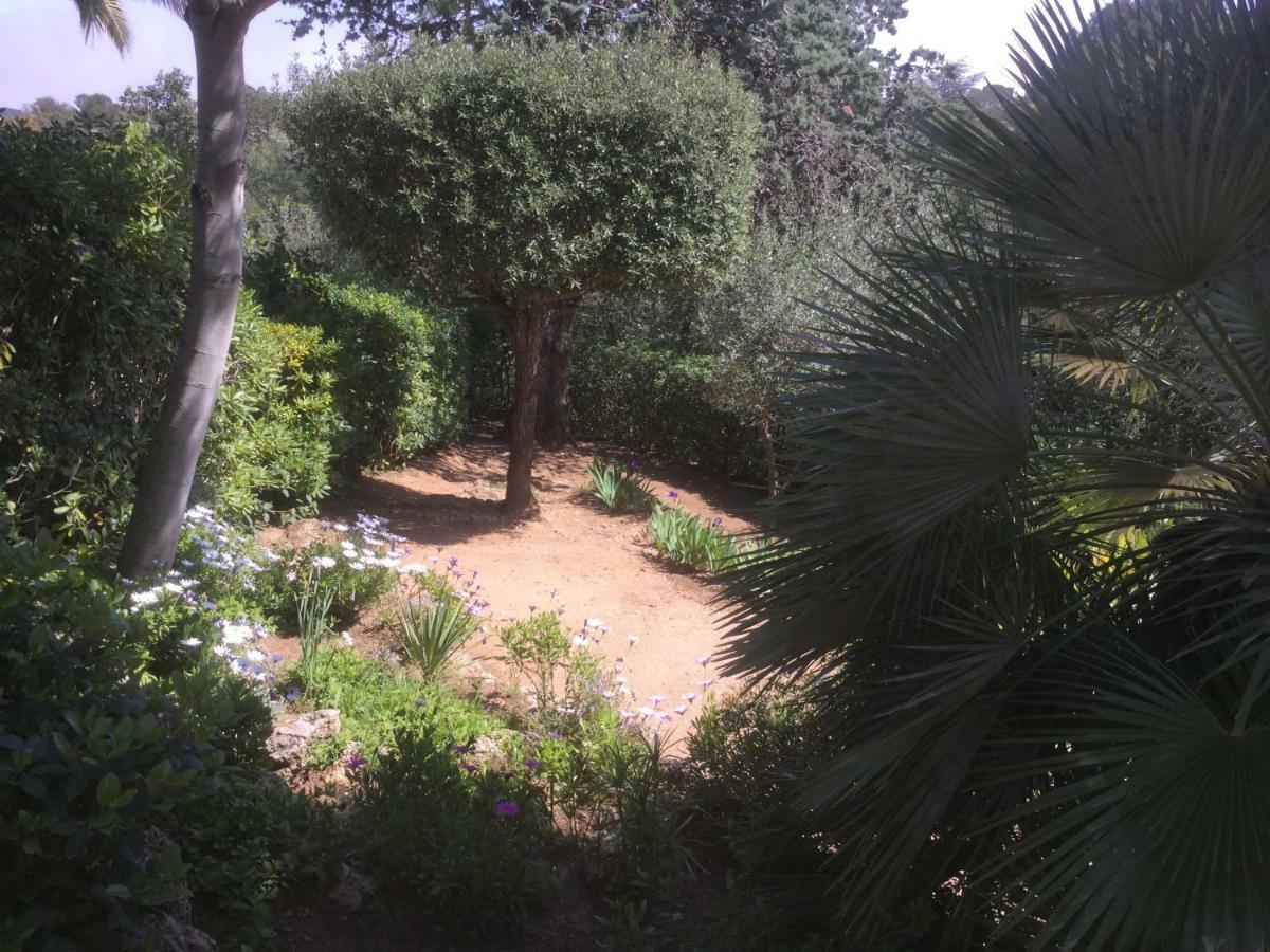 Villa Macoran 2 Etoiles Saint Aygulf Bagian luar foto